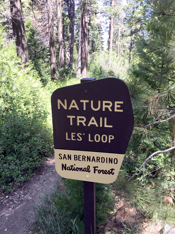 nature-trail